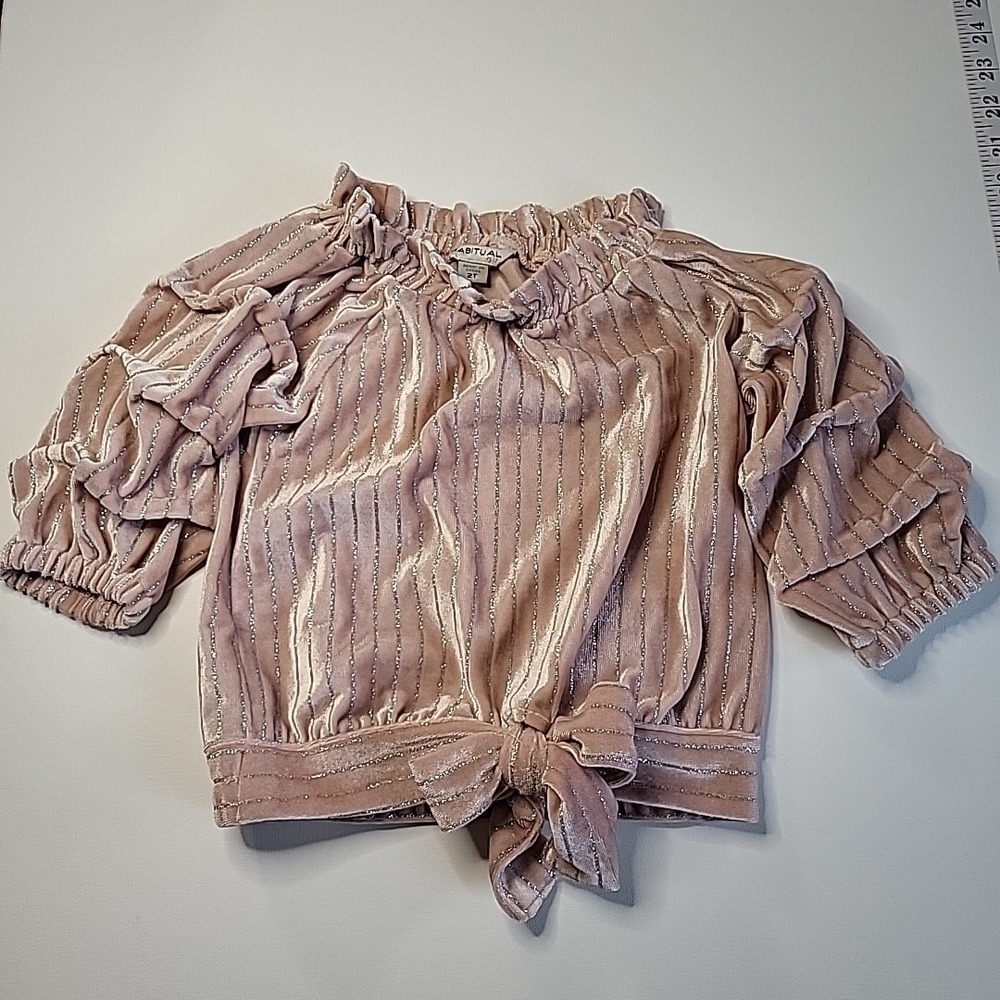 HABITUAL GIRL Pink Velvet & Silver Dressy‎ TOP Toddler Size 2T